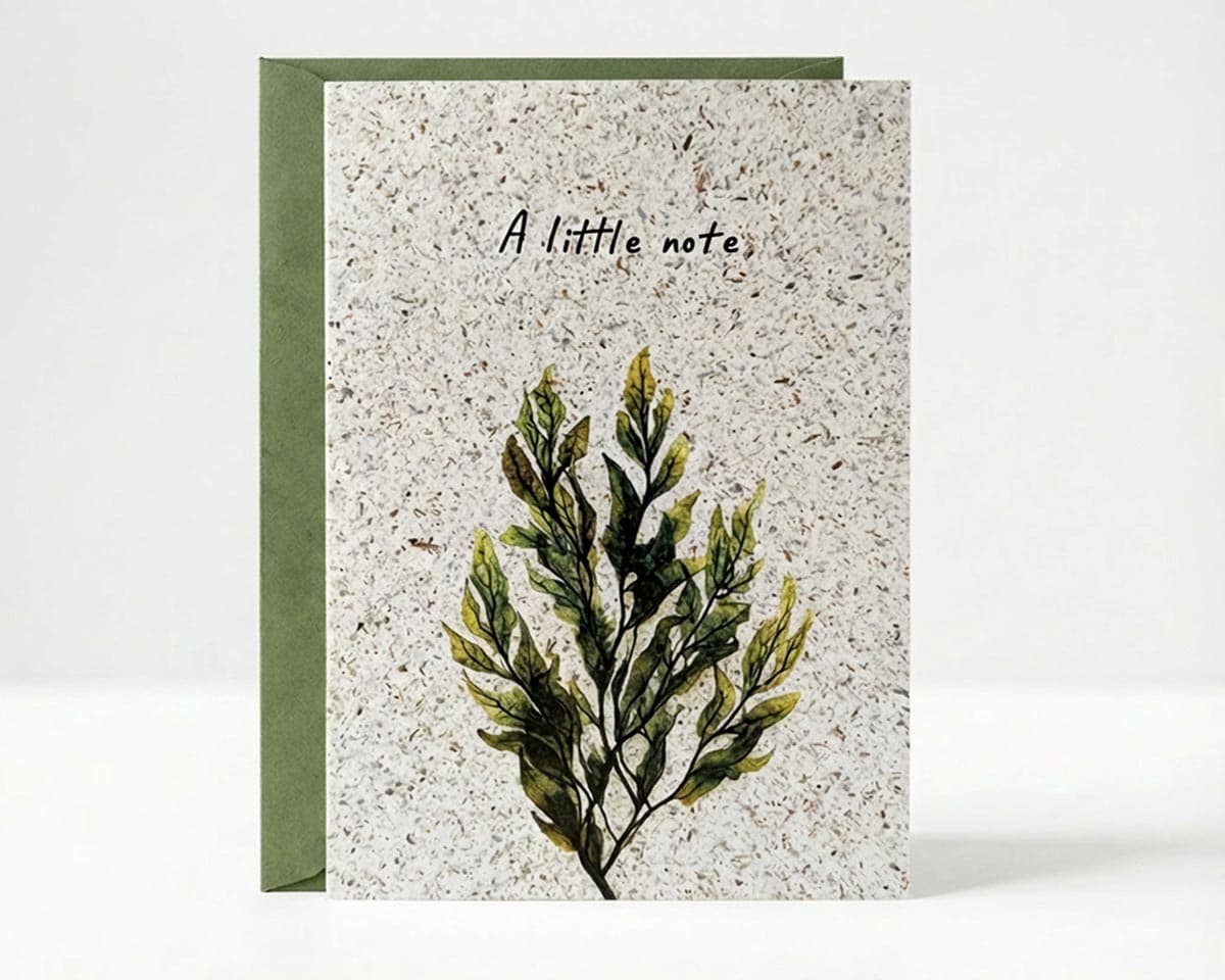 Seaweed paper greeting cards